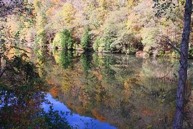 Fall Color on Parksville Lake