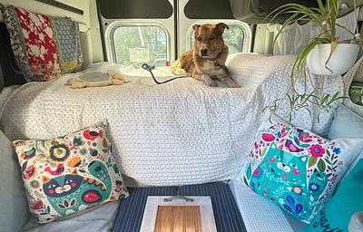 2026 Thor Freedom Elite 17D Pet Friendly Van