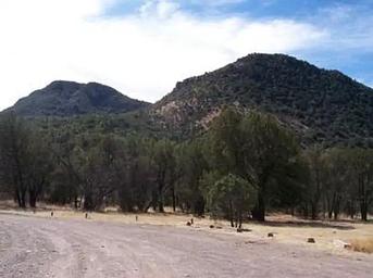 Distant mountains and trees along a road