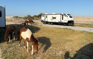 Shore Break RV