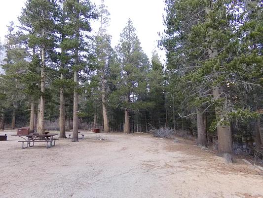 G01, Loop: PALISADES GROUP CAMPGROUND