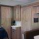 "Fancy The Forester" 2020 Forest River: 2291S Ford