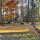 Campspot slideshow image 5