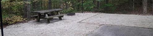 Zilpo - Daniel Boone Nat. For.