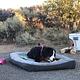 A camper's pet dog rests on a dog bed and chews a toy at Elk Creek Campground