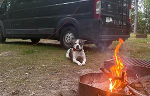 Jane's Island Venture Vans