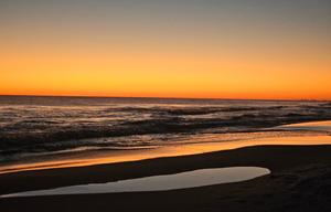 "The Sunset Seeker"