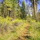 PINE REST CAMPGROUND