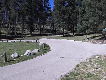 Upper Fir Group Area