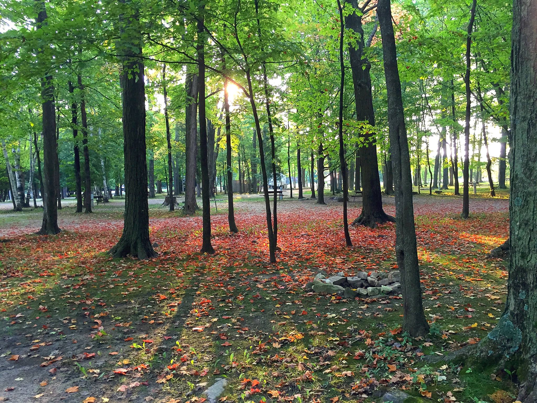 Yogi Bear’s Jellystone Park Camp-Resort of Door County
