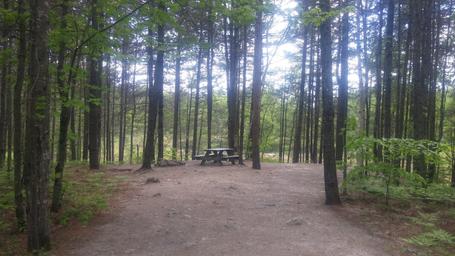 Big Moose Inn Cabins & Campground