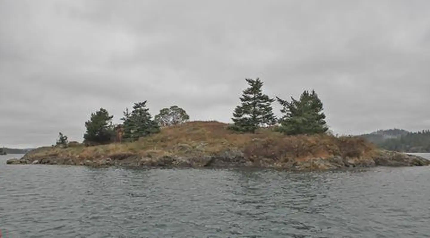 Blind Island