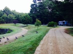 Apple Valley Campground