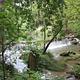 A small waterfall surrounded by lush greenery in the summer.