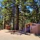 Penny Pines