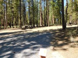 Wyeth Campground – Deschutes
