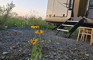 2022 Forest River RV Rockwood Ultra Lite 2911BS RV rental photo 12