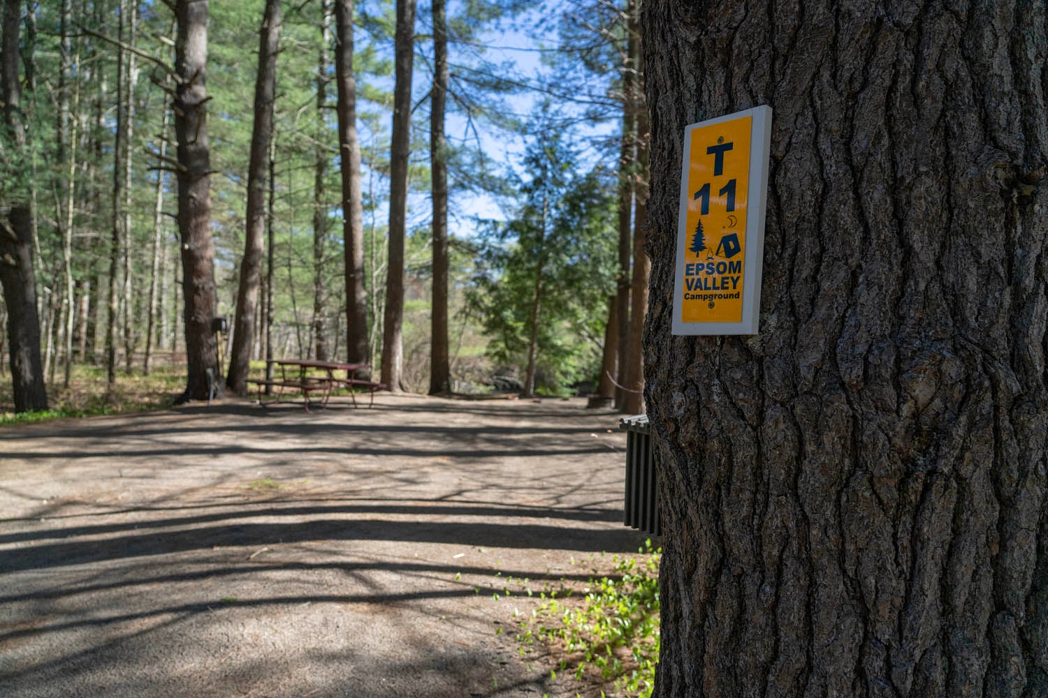 Epsom Valley Campground