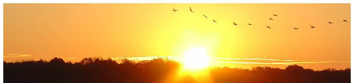 Dub Patton Campground