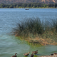 Campspot slideshow image 1