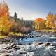 Truckee River RV Park