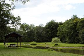Bison Trace Luxury Camping