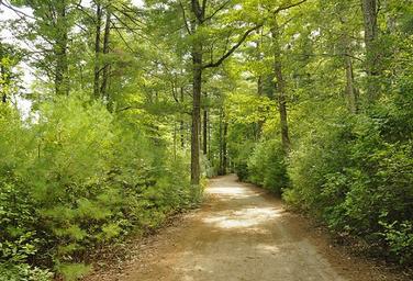 Thousand Trails Gateway to Cape Cod