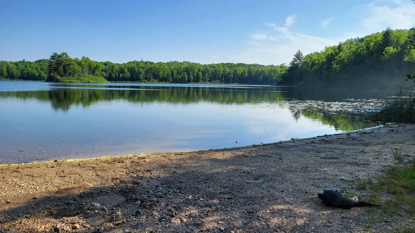 Cookson Lake Campsites