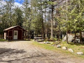 Wooden cabin by trees in a forest area.