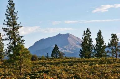 Hat Creek Resort & RV Park