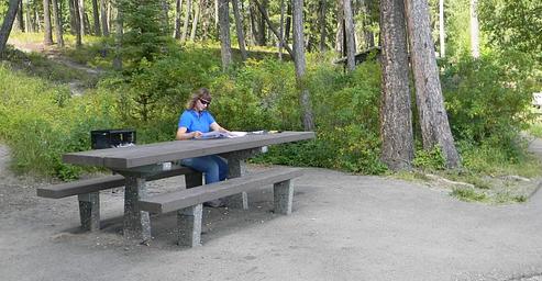 N. Dickey Lake-Day Use Beach Area