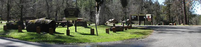PGS, Loop: AREA PINES GROUP/STANISLAUS