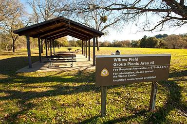 Willow Field Group Picnic #5