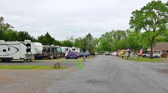 Water's Edge RV Park & Marina