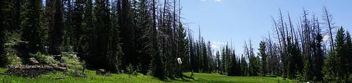 Lost Creek Campground