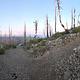 Bolan Lookout - parking area