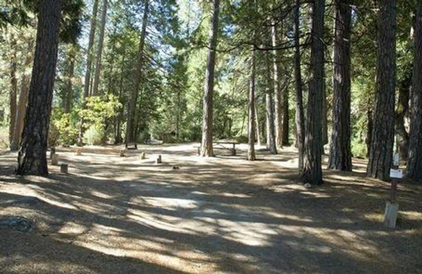 Wishon Bass Lake