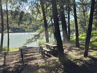Campsite by lake in trees