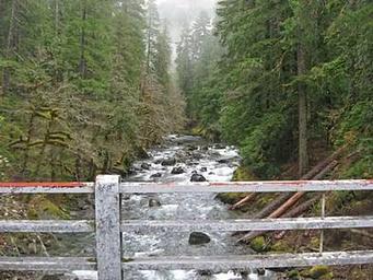 OHANAPECOSH RIVER FROM THE CAMPGROUND BRIDGE