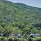 Wide daytime view of multiple RVs and campsites along a tree‑lined valley — useful overall site layout shot (image appears on the property homepage slideshow).