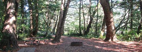 Group Area, Loop: Eagleview Group Campground (Reservation)