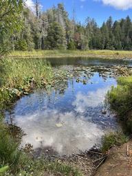 September Fish Lake