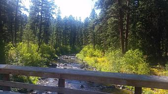 Tally Lake Campground