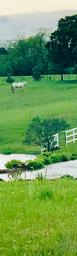 Prairie Lakes Ranch