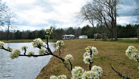 Belaire RV Park