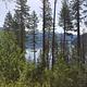 Priest Lake thru the trees