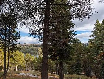 Distant view of Lake Alpine
