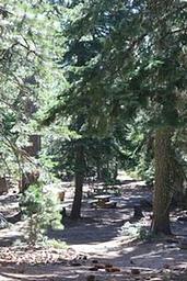 MASTERSON GROUP CAMPGROUND