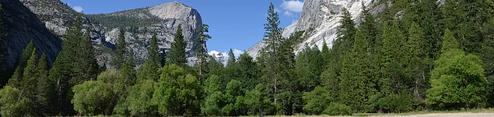 Yosemite National Park