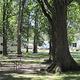 Wide exterior view showing multiple RV sites, picnic table, and mature trees — matches campground/RV-park pages describing shaded RV pitches and park layout (illinoiscampgroundrvpark.htm).